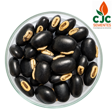 Semente de Mucuna Preta